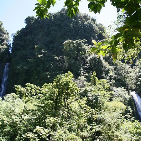 Natty Tropical Valley Roseau Kültér fotó