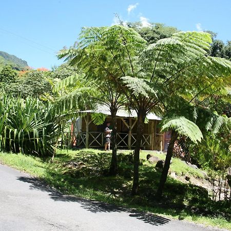 Natty Tropical Valley Roseau Kültér fotó