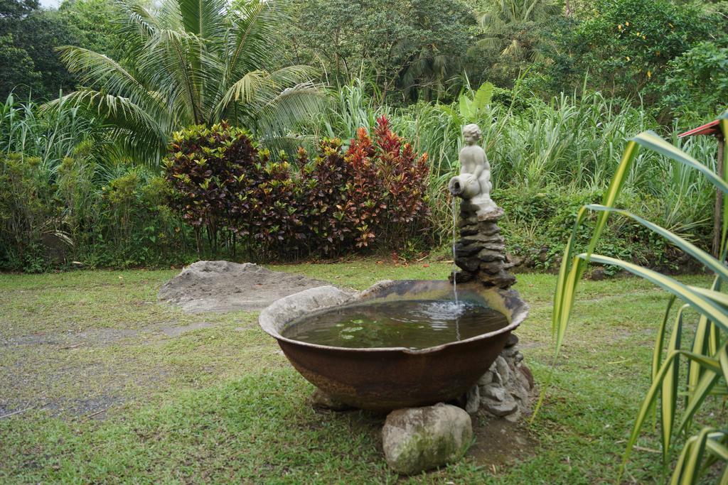 Natty Tropical Valley Roseau Kültér fotó