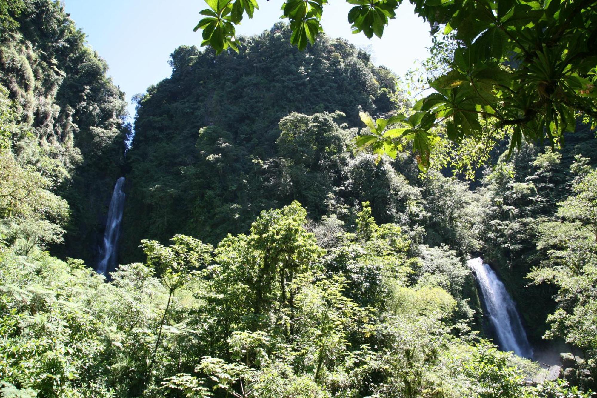 Natty Tropical Valley Roseau Kültér fotó