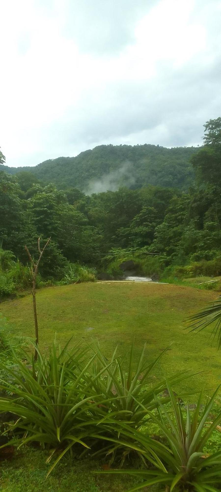 Natty Tropical Valley Roseau Kültér fotó
