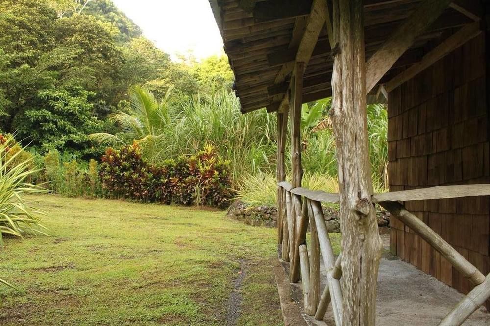 Natty Tropical Valley Roseau Kültér fotó