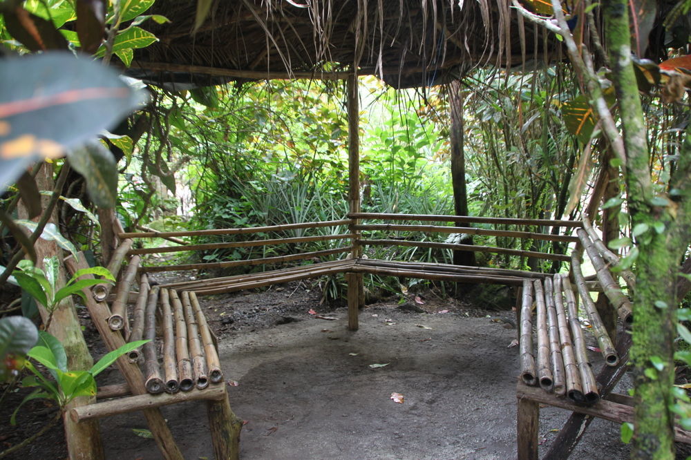 Natty Tropical Valley Roseau Kültér fotó