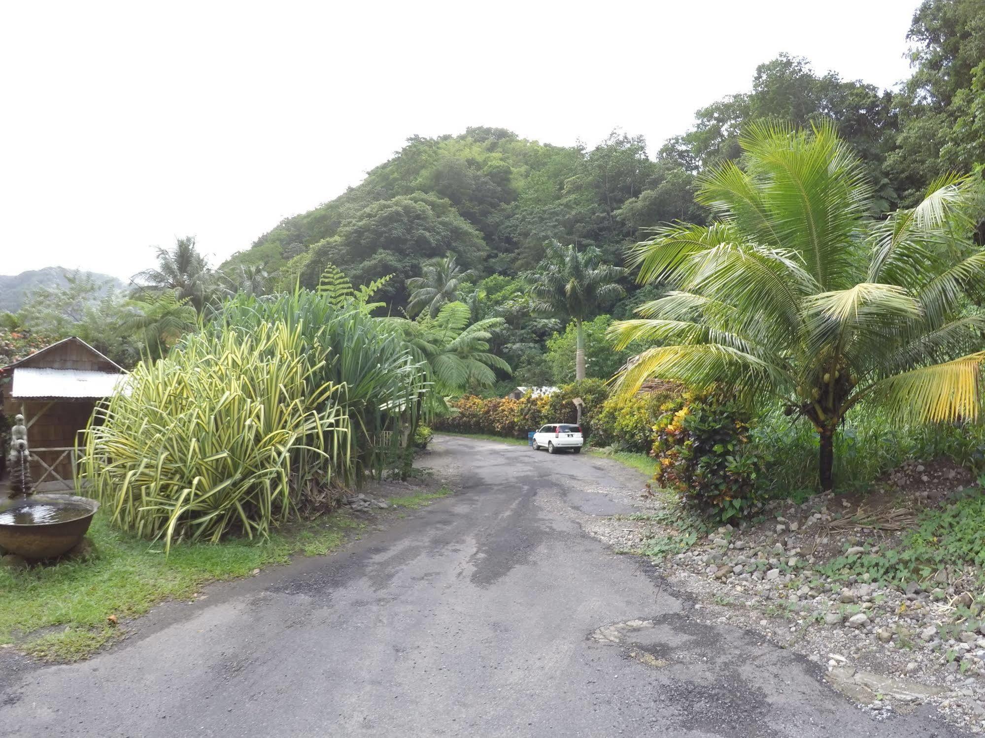 Natty Tropical Valley Roseau Kültér fotó