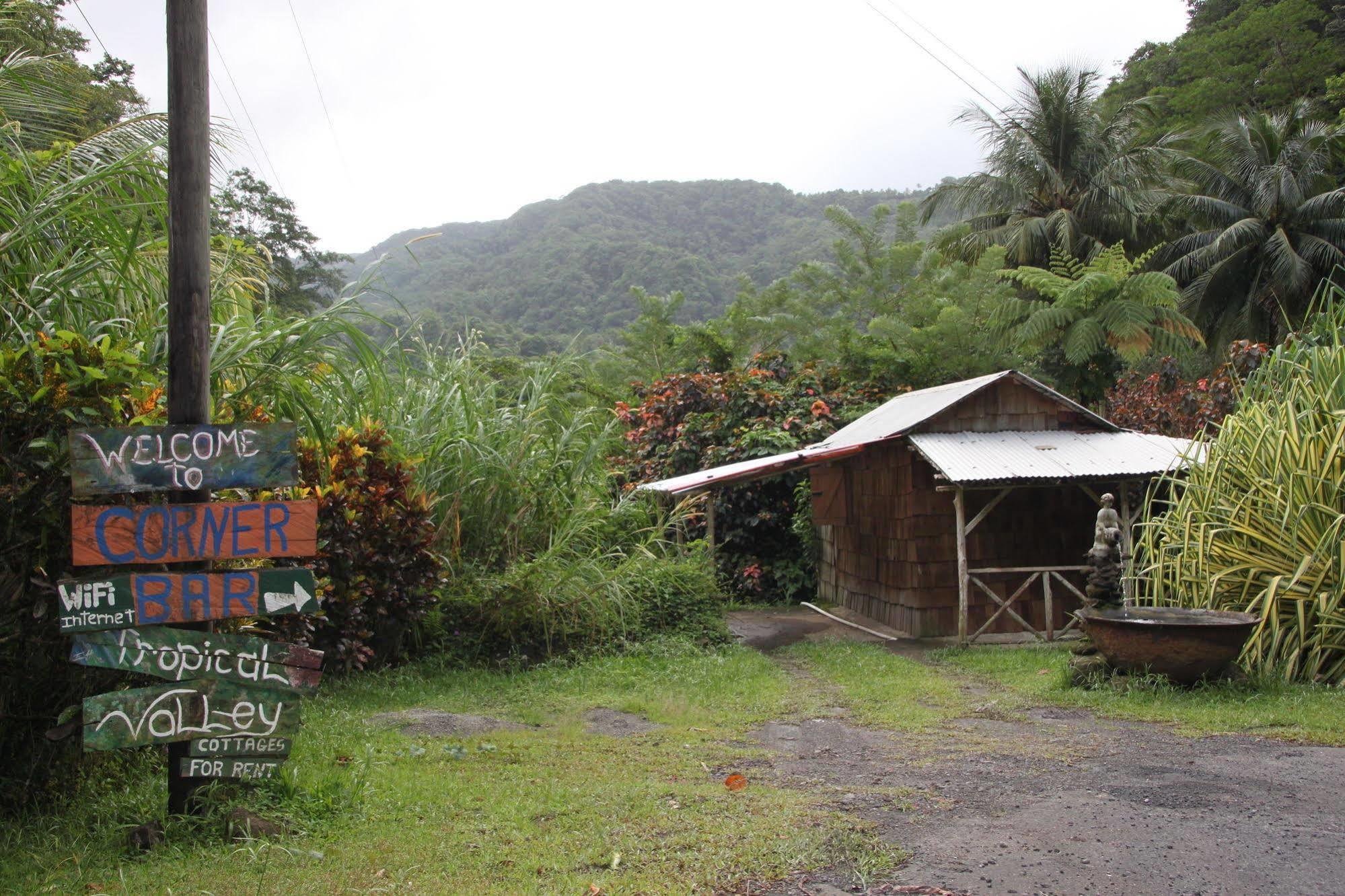 Natty Tropical Valley Roseau Kültér fotó